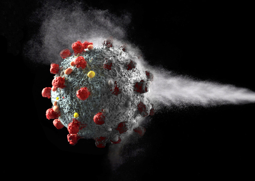 El cuerpo “recuerda” al Covid-19 y es inmune durante al menos seis meses, revela un nuevo estudio