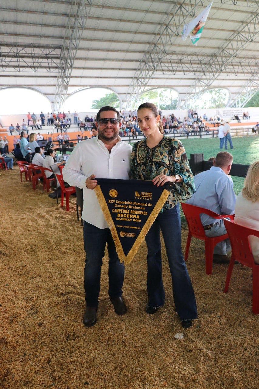 790fcd93-63a3-4817-a292-500febfd2388