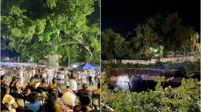 ceiba_xocen_x1x.jpg_2039590105