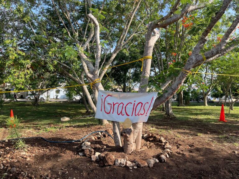 WhatsApp-Image-2025-06-22-at-3.31.18-PM