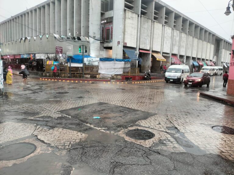 b05a3a31-dd50-4ac3-9d3f-a35ad90cfac5