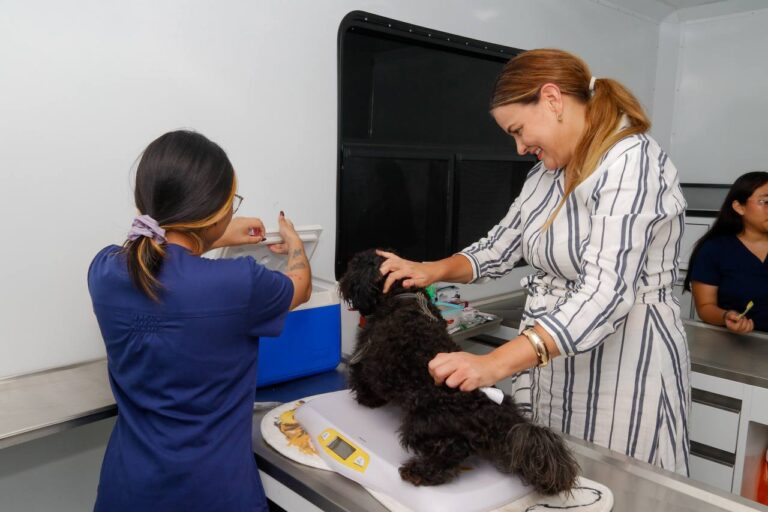 89880082-6251-45b5-9e78-f92da138e4ea