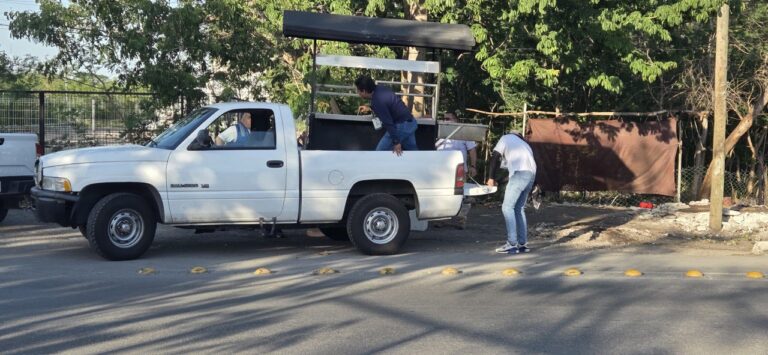 c756fccc-637c-42f7-87b6-f43440866816