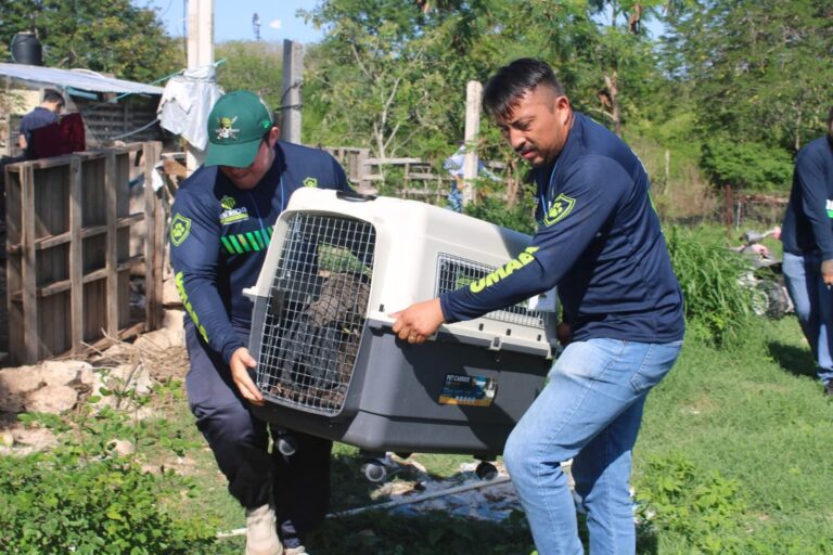 WhatsApp Image 2026-04-10 at 11.47.31 AM