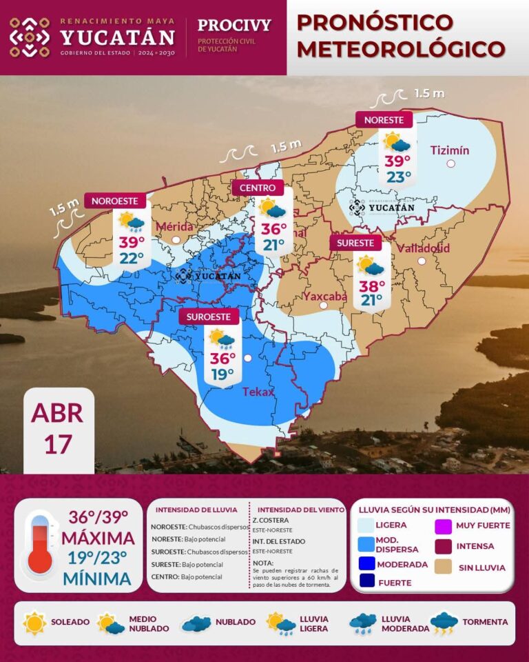 WhatsApp Image 2026-04-17 at 6.24.56 AM